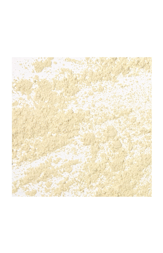 Blemish Repairing Powder - Poudre Asséchante Anti-Imperfections - 14 g