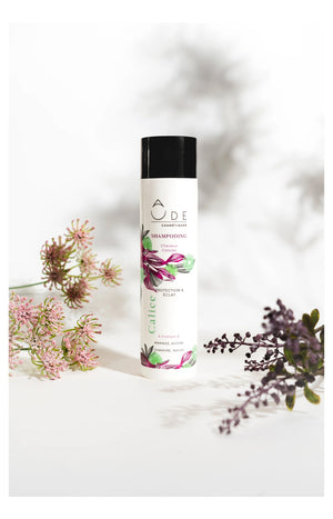 Shampoing Cheveux Colorés - Calice