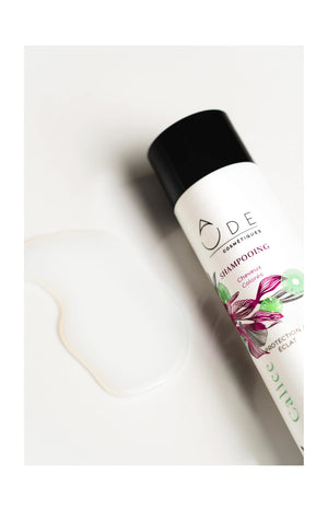 Shampoing Cheveux Colorés - Calice