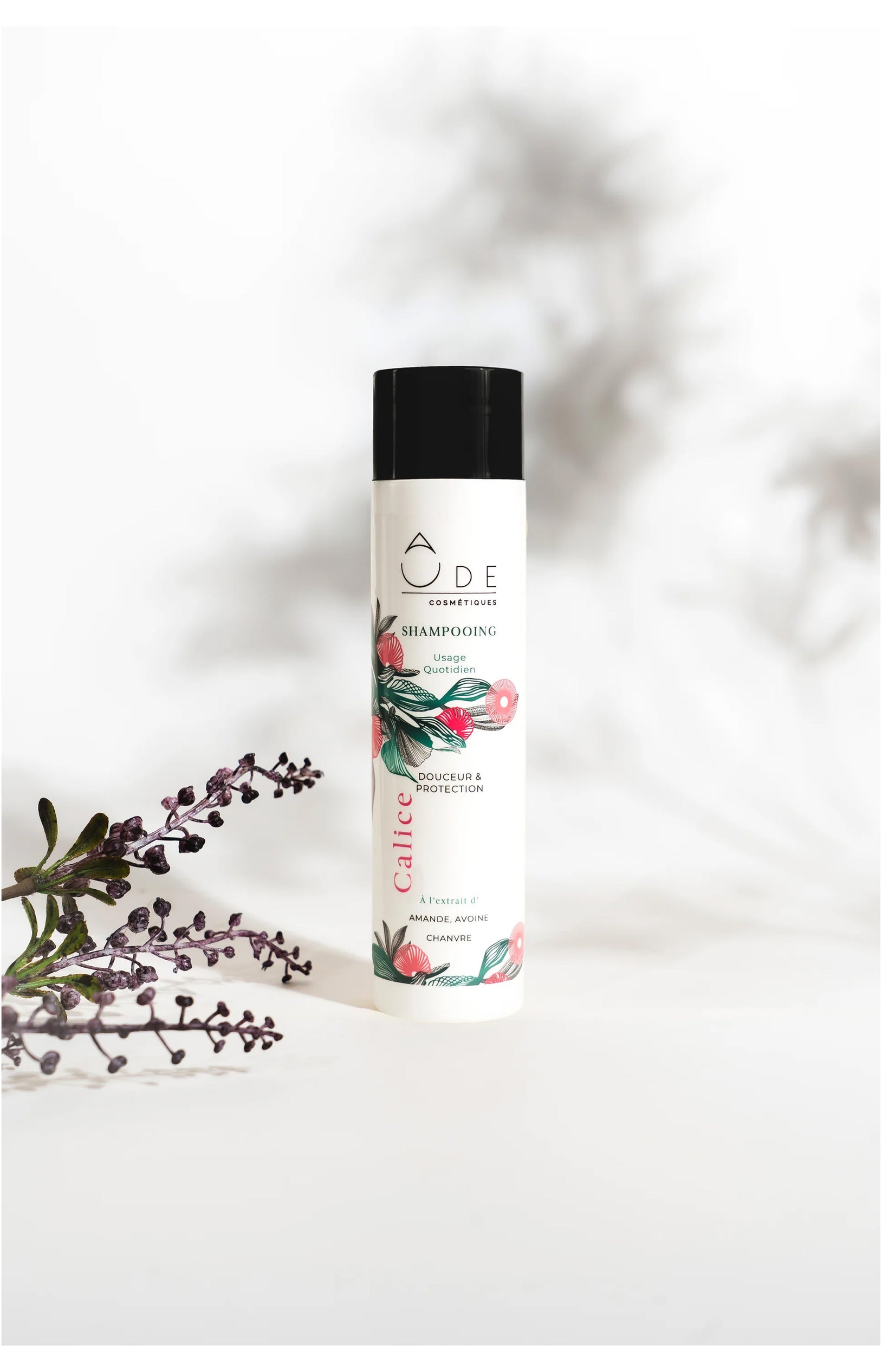 Shampoing Usage Quotidien - Calice
