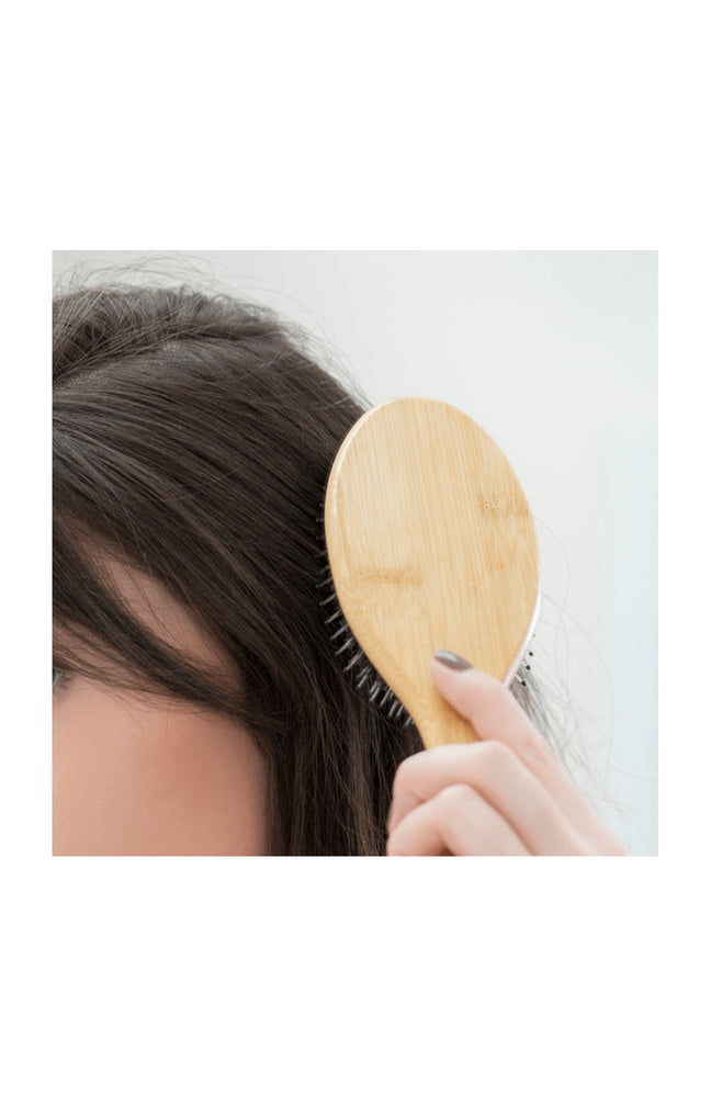 Brosse Anti-Pellicules [Th]