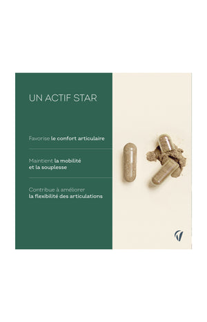 Cure mobilité articulation - Harpagophytum - 45 jours