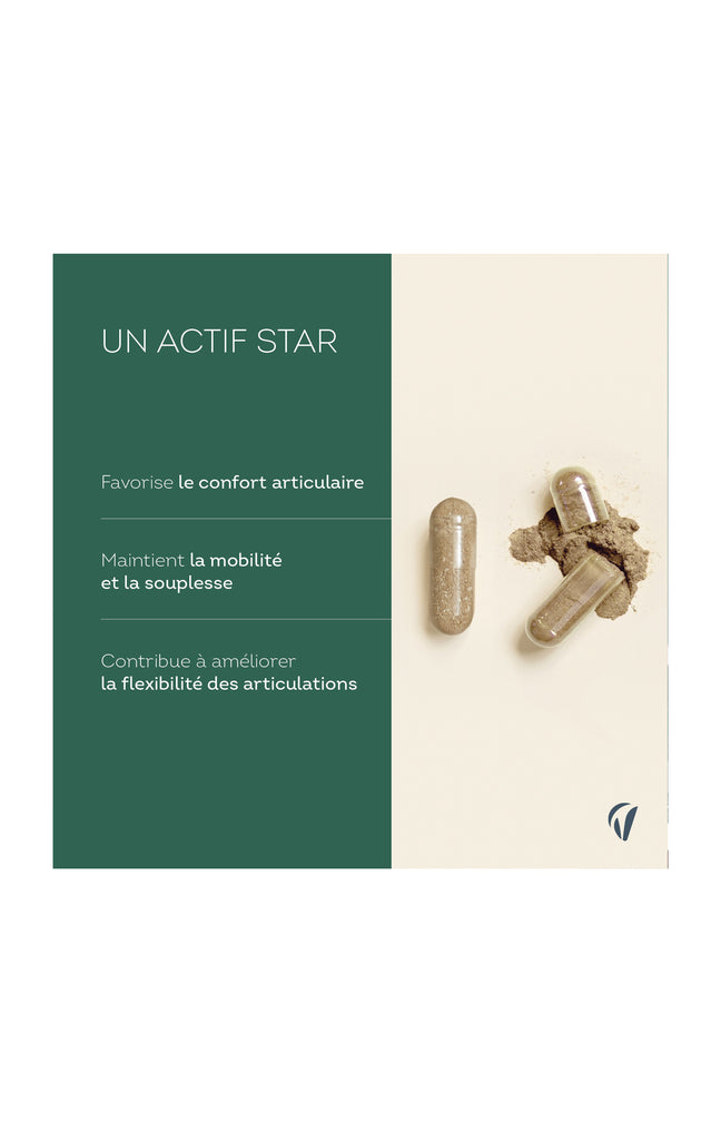 Cure mobilité articulation - Harpagophytum - 135 jours