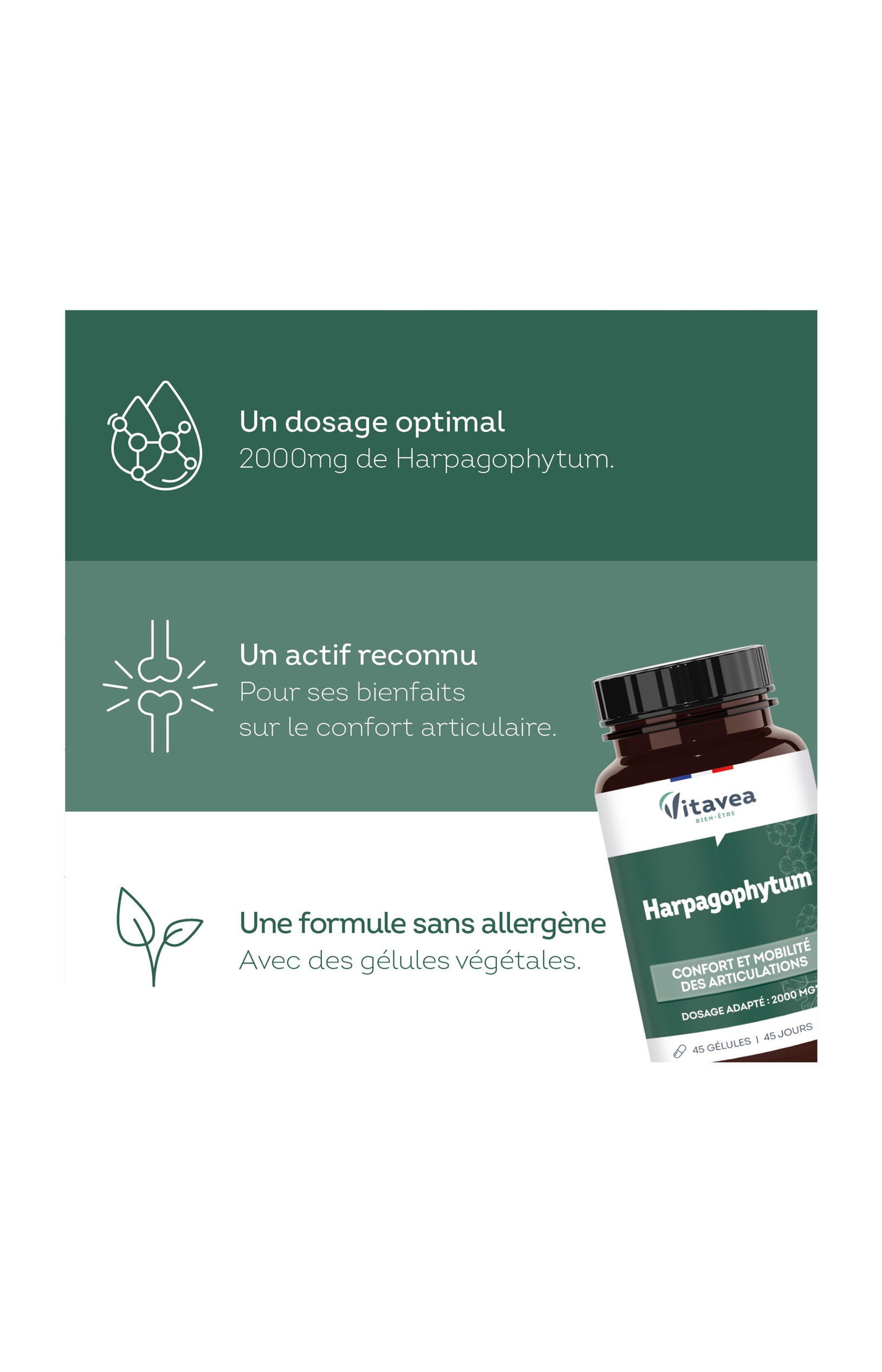 Cure mobilité articulation - Harpagophytum - 45 jours