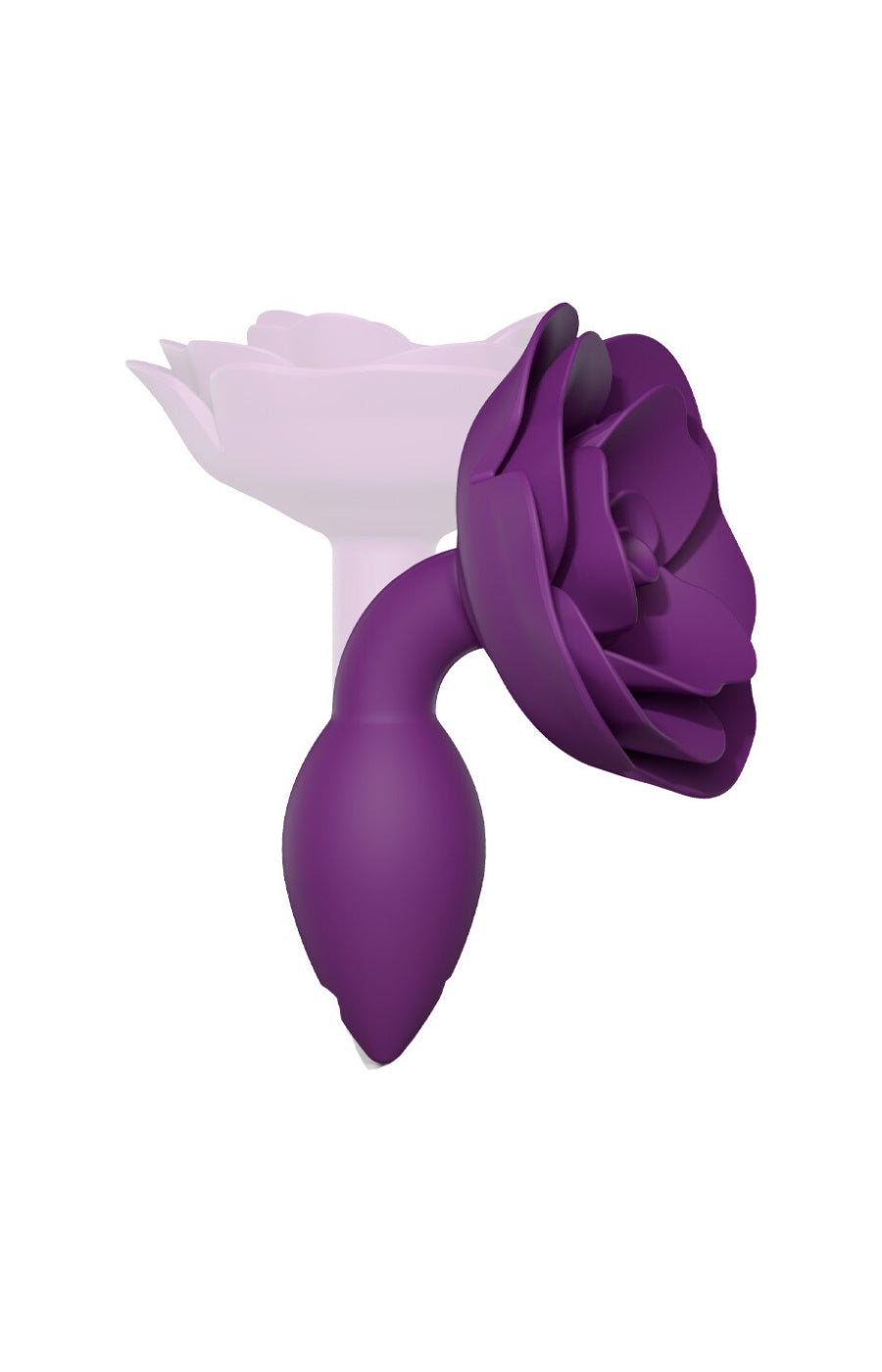 Plug anal - Open roses - Purple rain - S