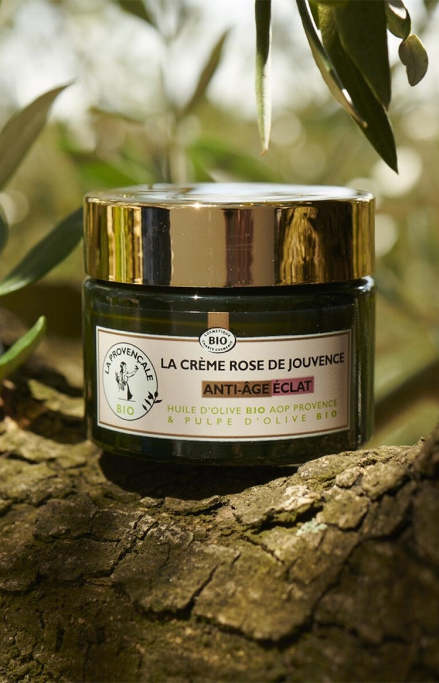 Crème anti-âge éclat bio - Huile & pulpe d'olive - Peaux matures