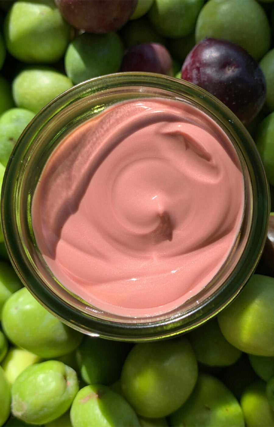 Crème anti-âge éclat bio - Huile & pulpe d'olive - Peaux matures