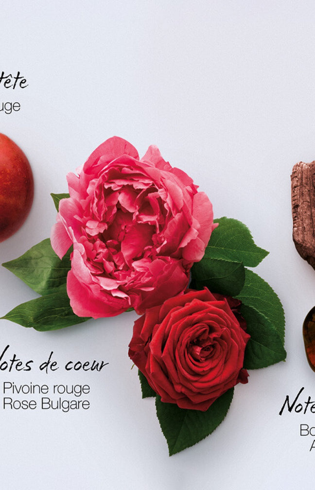Crème divine - In Red - Oriental floral boisé - Corps - 200 ml