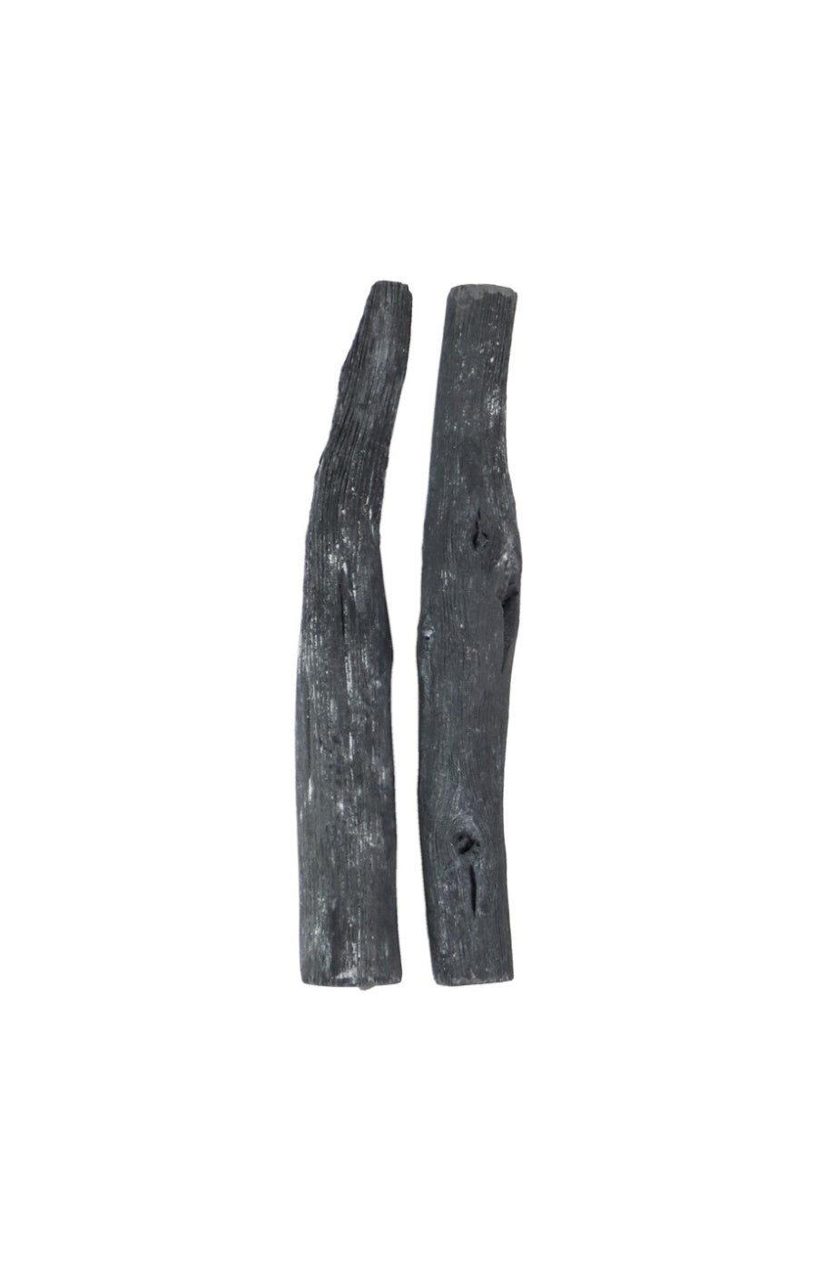 Lot de 2 charbons actifs