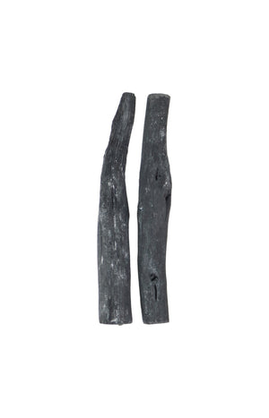 Lot de 2 charbons actifs