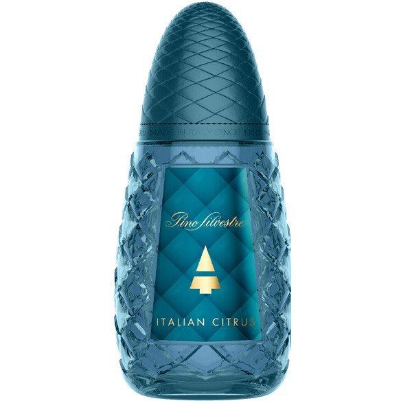 Italian Citrus Eau de toilette - Boisé aromatique - Homme