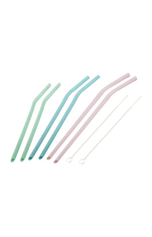 Set de 6 pailles en silicone avec goupillons de nettoyage