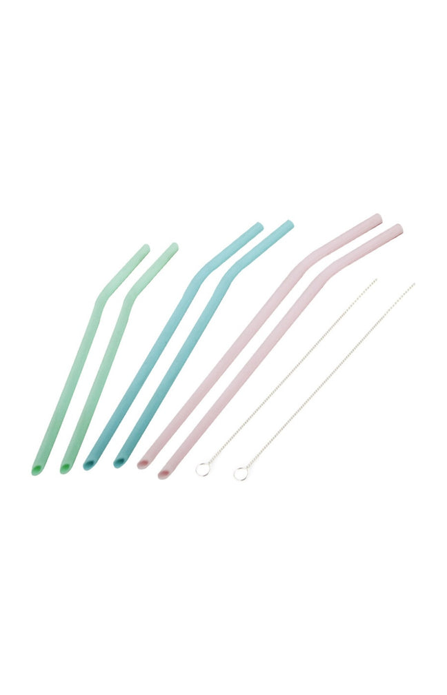Set de 6 pailles en silicone avec goupillons de nettoyage