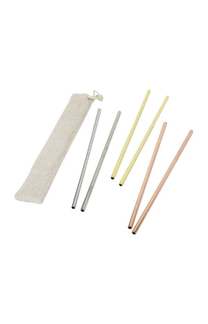 Set de 6 pailles en inox