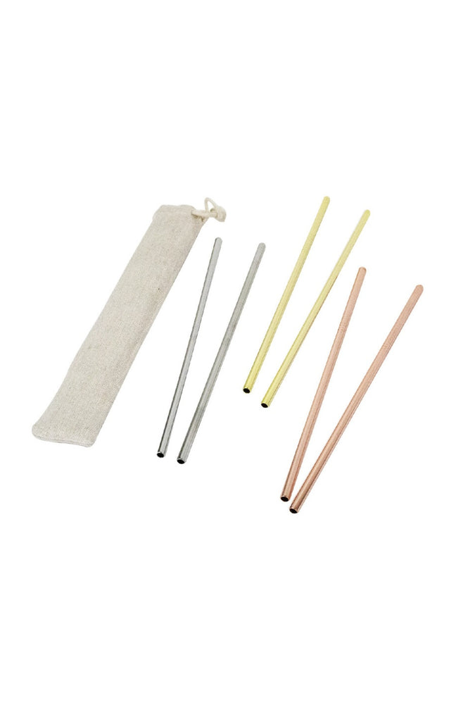 Set de 6 pailles en inox