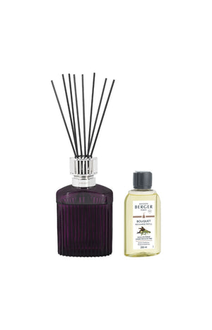 Coffret bouquet parfumé Alpha prune & recharge Sous l'oliveraie - 200 ml