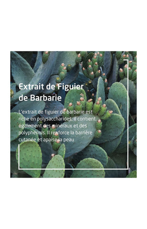 Contour des yeux hydratant - Figuier de Barbarie