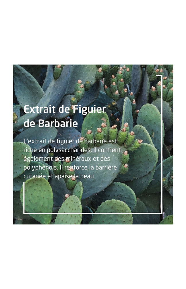 Contour des yeux hydratant - Figuier de Barbarie