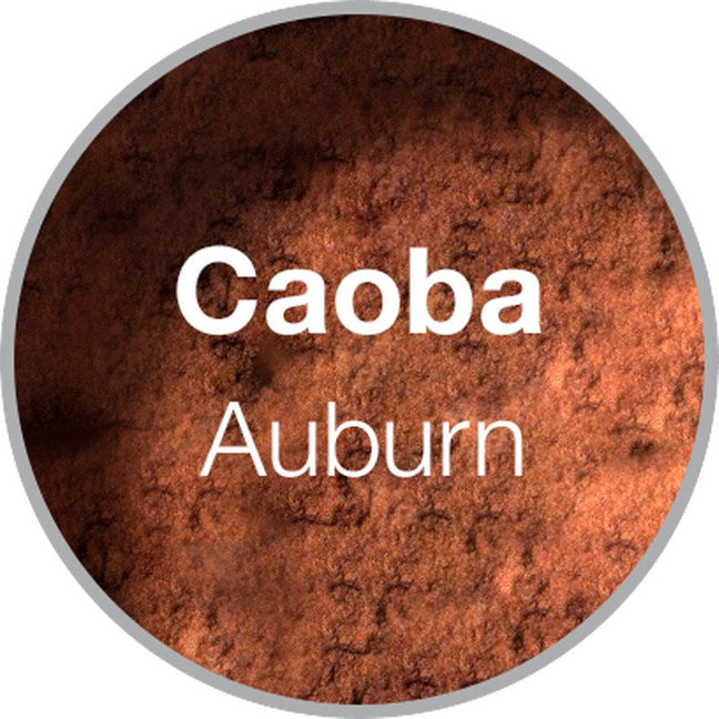 Kit "Stop Calvitie" - Auburn - 4 produits
