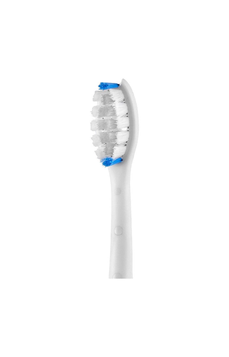 Brosse à dents sonique - Sonic You