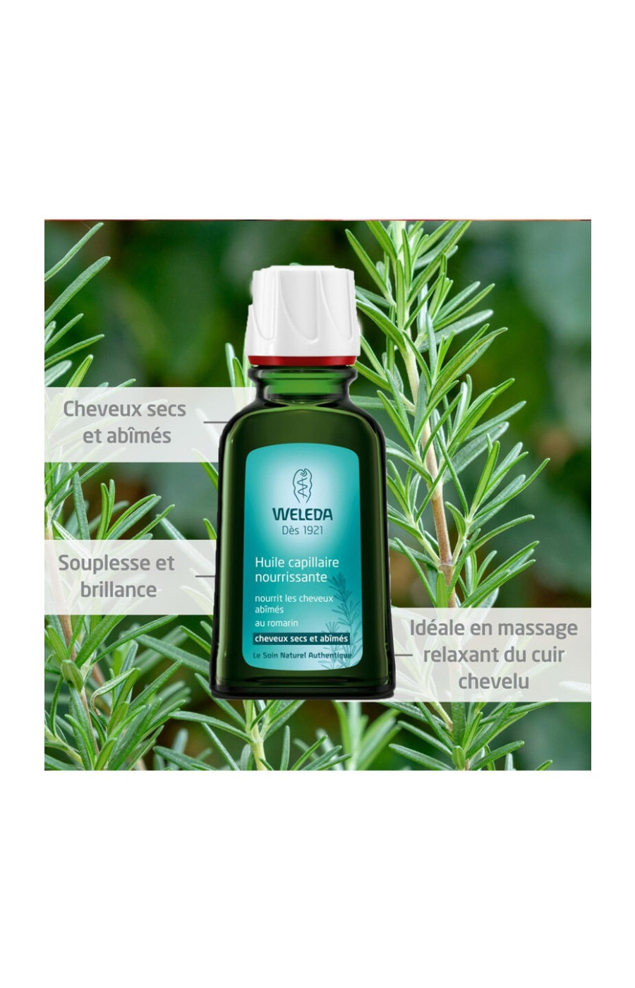 Huile nourrissante - Romarin - Cheveux - 50 ml