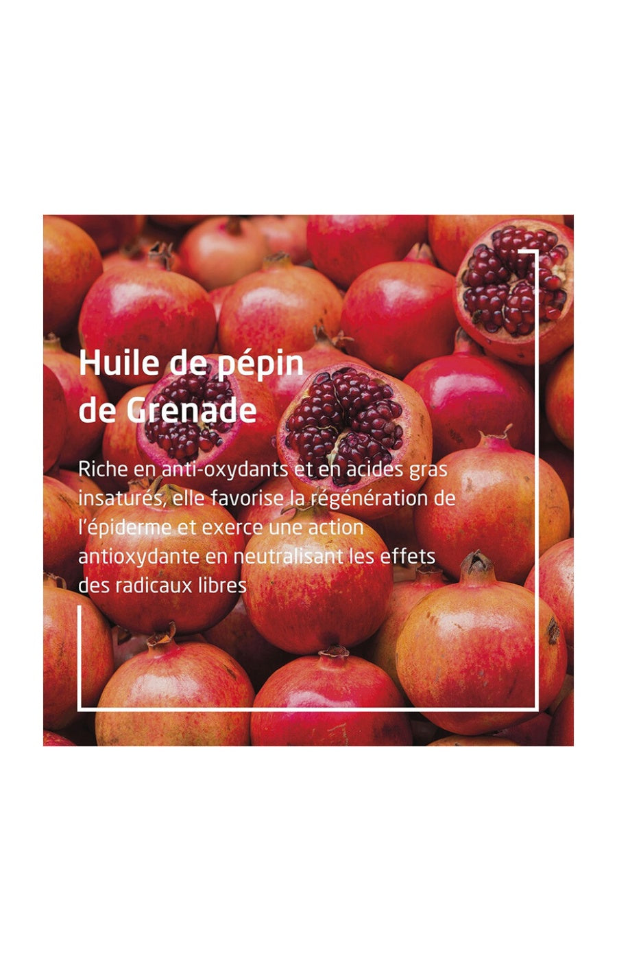 Crème mains antioxydante - Grenade - 50 ml