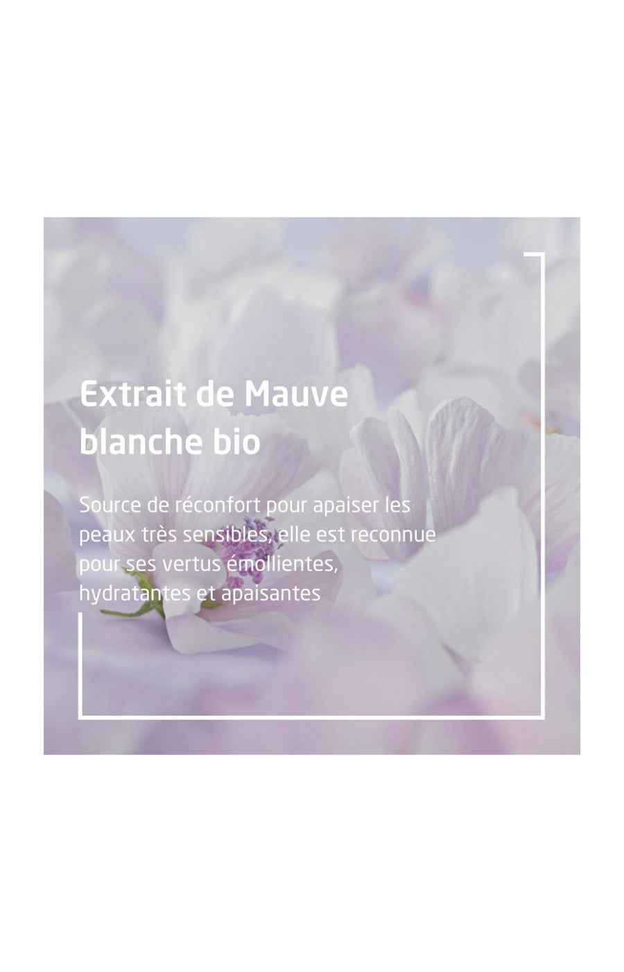 Crèmes de change - Mauve blanche bio - Peaux sensibles - Bébé - 2 x 50 ml