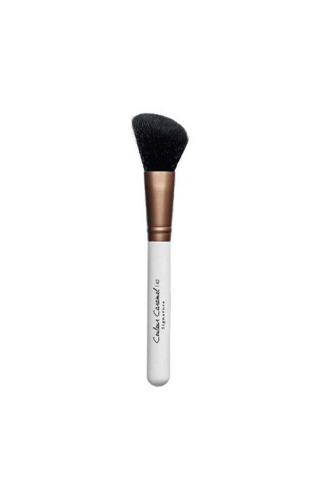 Pinceau blush - Teint