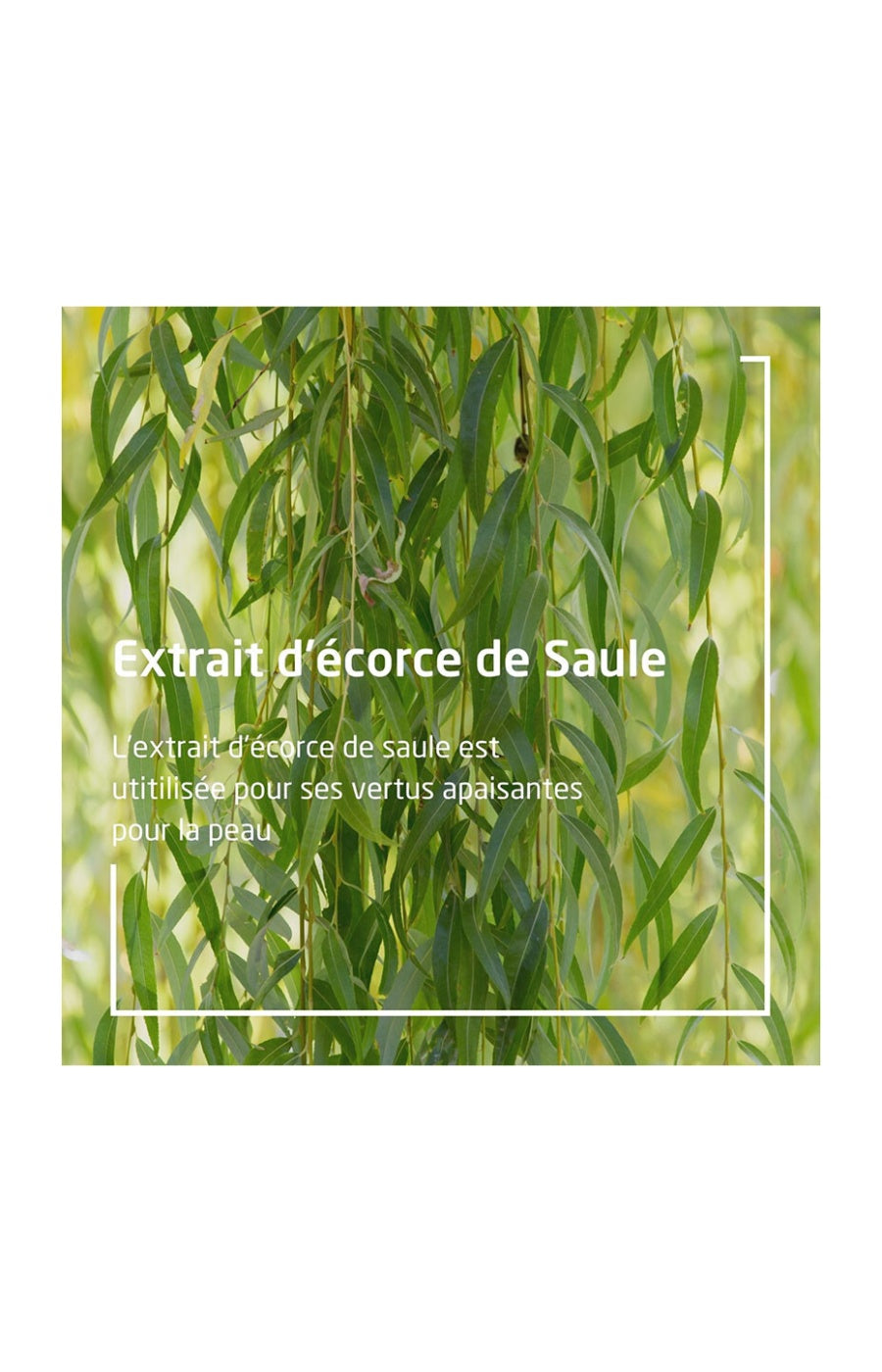 Gel nettoyant purifiant - Peaux à imperfections