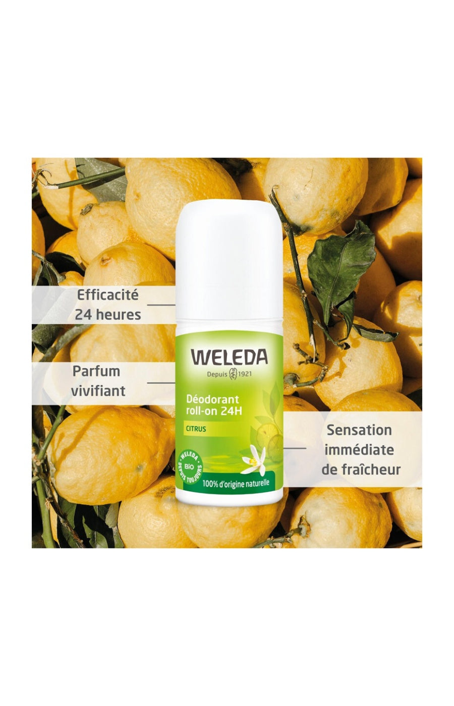 Déodorants roll-on 24h - Citrus - 2 x 50 ml