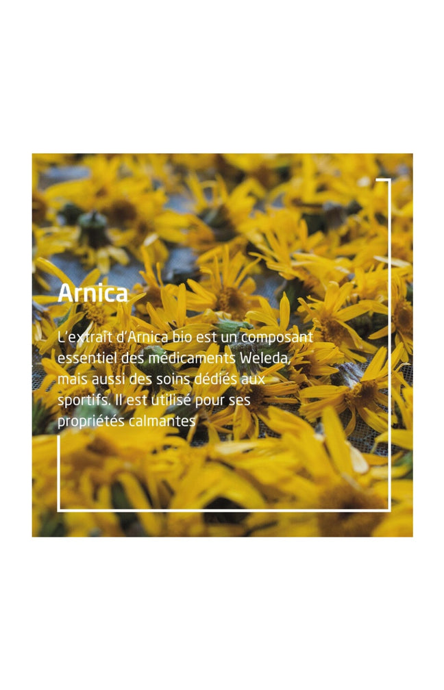 Huile de massage - Arnica - 50 ml