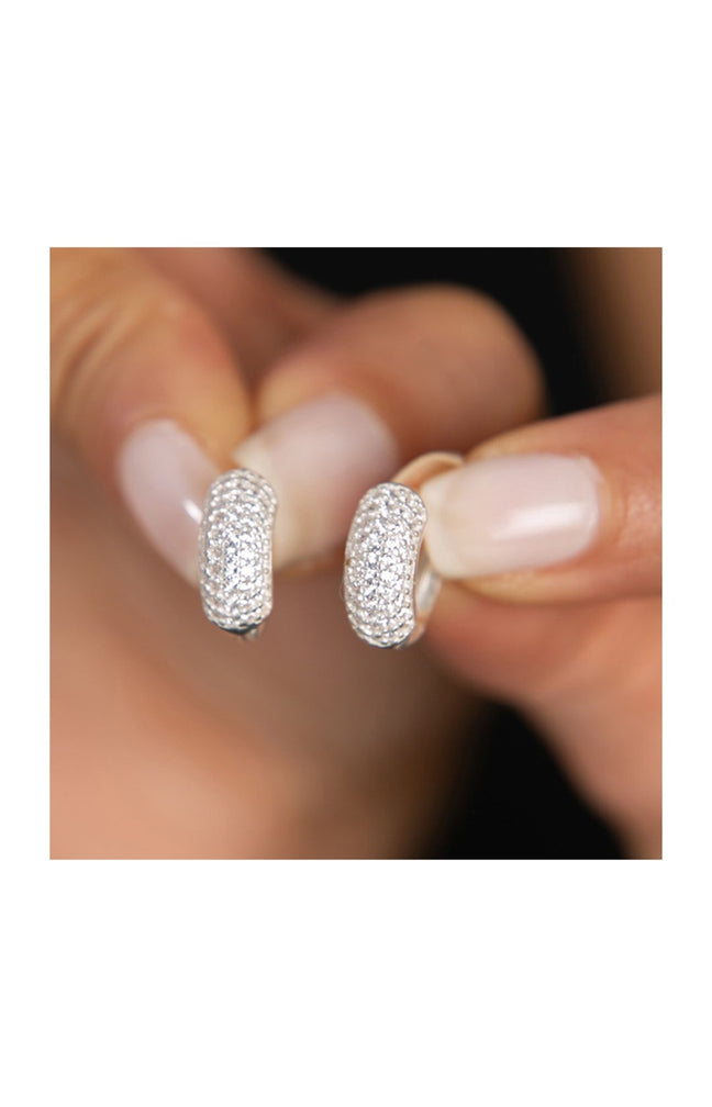 Boucles d'oreilles - Argent 925/000 & zircons