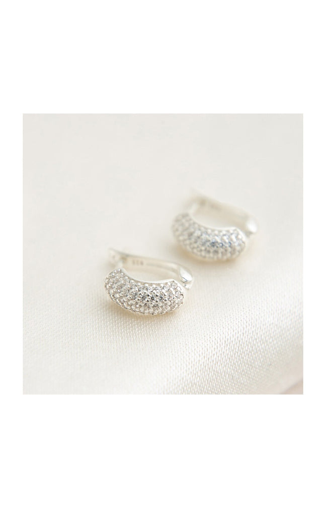 Boucles d'oreilles - Argent 925/000 & zircons