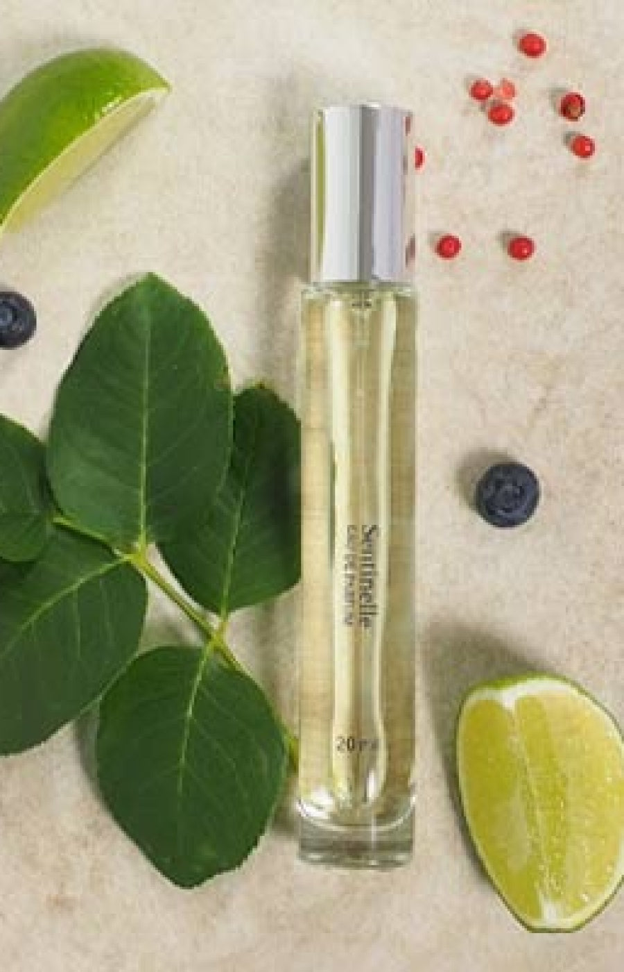 Sentinelle Eau de parfum - Boisé épicé