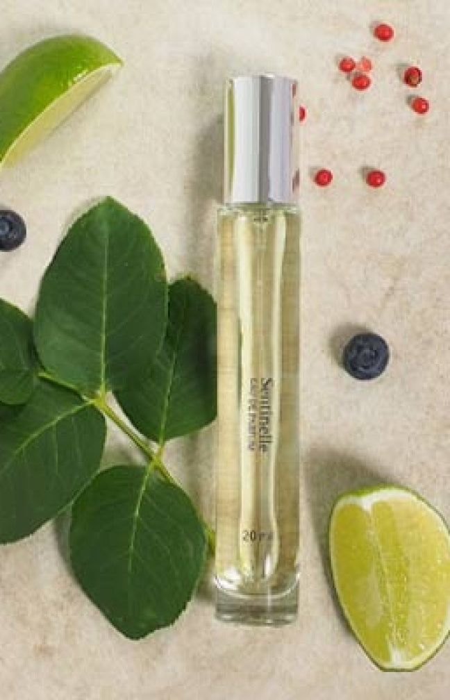 Sentinelle Eau de parfum - Boisé épicé