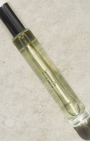 Sentinelle Eau de parfum - Boisé épicé