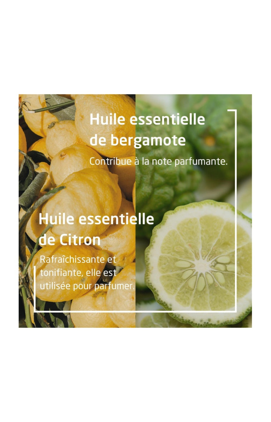 Déodorant stick - Citrus & bergamote - 50 g