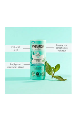Déodorant stick - Eucalyptus & peppermint - 50 g