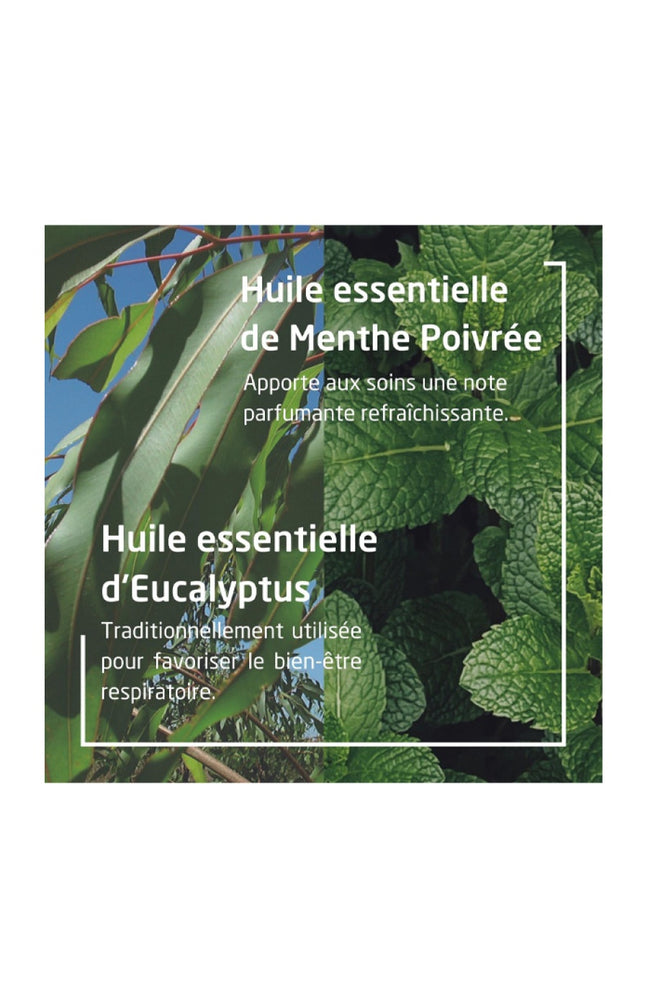 Déodorant stick - Eucalyptus & peppermint - 50 g