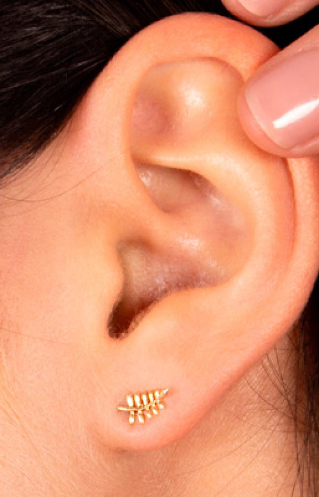 Boucles d'oreilles Feuilles d'or - Or jaune 375/1000