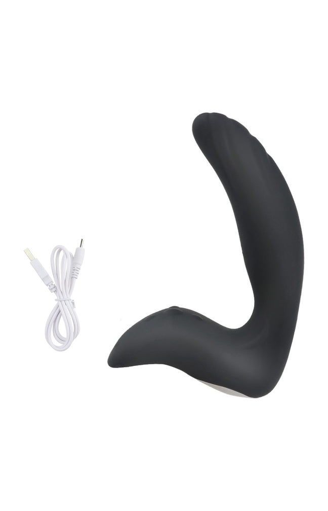 Stimulateur de prostate - 10 modes - Noir - Homme