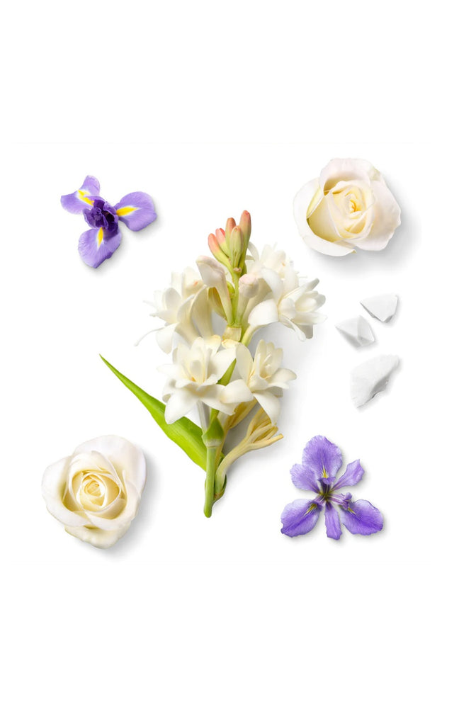 Le Secret d'Arielle Extrait de parfum - Floral
