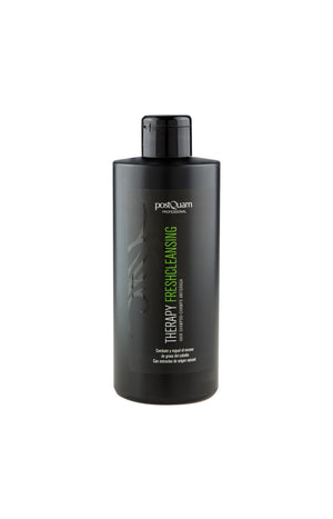 Shampoing - Fresh Cleansing - Cheveux gras - 400 ml