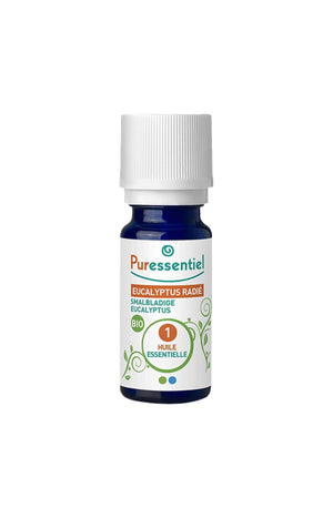 Huile essentielle d'eucalyptus radié bio - 30 ml
