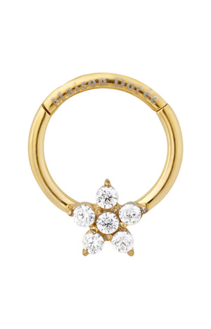 Piercing d'oreille - Shine - Acier chirurgical inoxydable doré 18ct