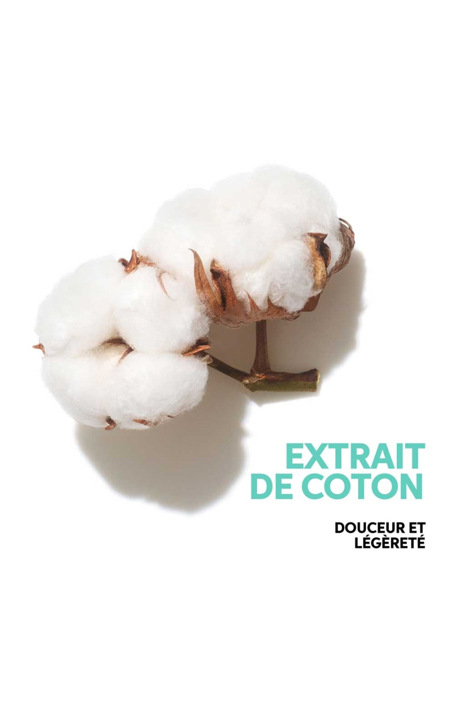 Shampoing épaississant - Volume Boost - Cheveux fins
