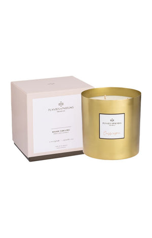 Bougie végétale parfumée - Cassiopée - Agrumes - 3 mèches - 1 kg