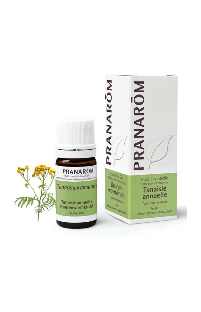 Huile essentielle - Tanaisie annuelle - 5 ml