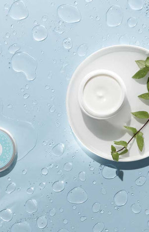 Crème hydrante intense - Aux sources des glaciers - Acide hyaluronique - Peaux normales à sèches - 50 ml