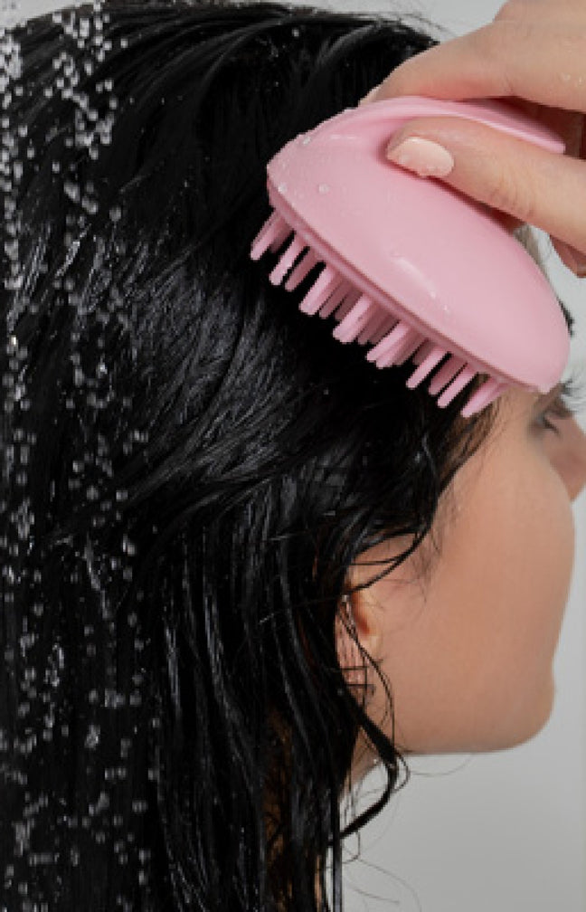 Brosse de massage - Cuir chevelu